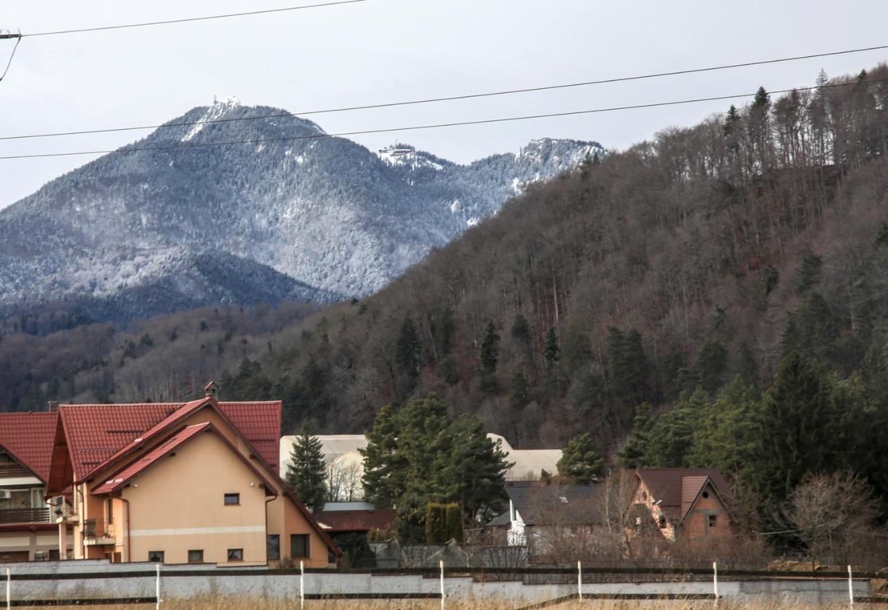 Carpen View Residence Săcele Esterno foto