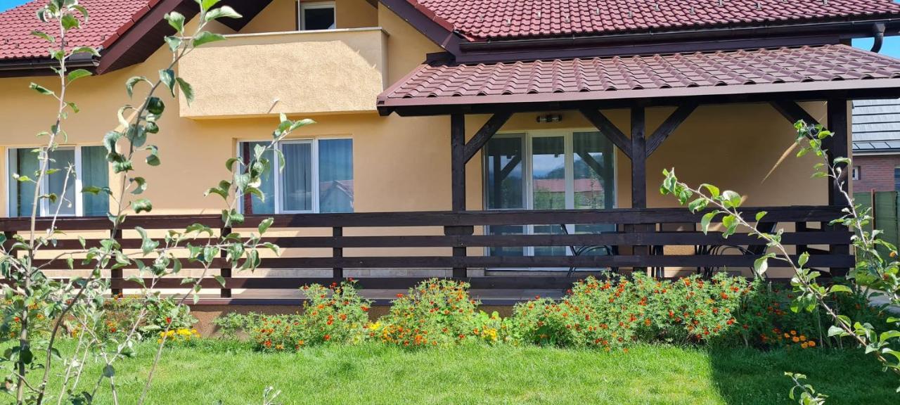 Carpen View Residence Săcele Esterno foto