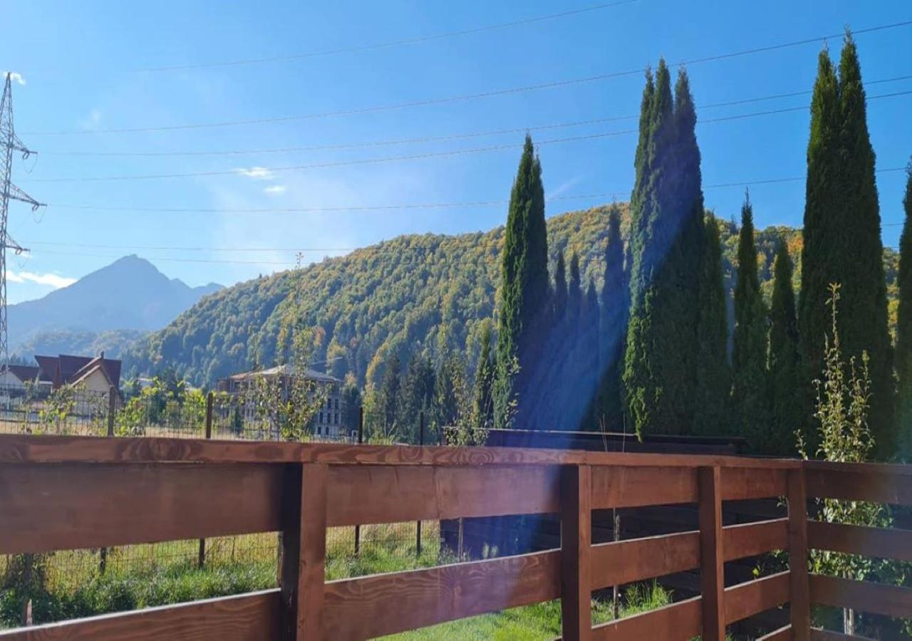 Carpen View Residence Săcele Esterno foto