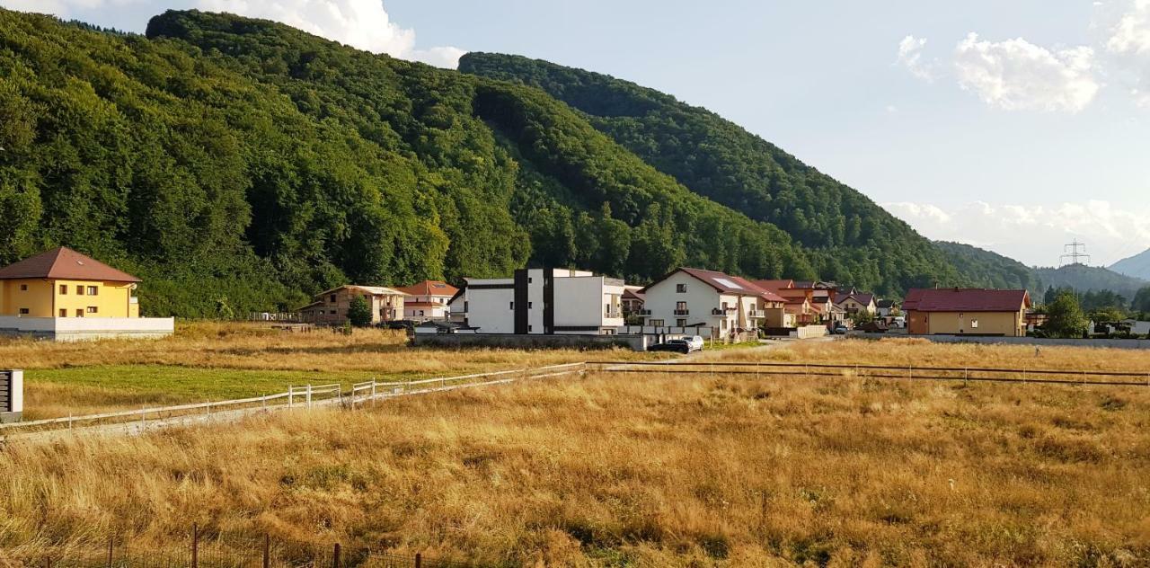 Carpen View Residence Săcele Esterno foto